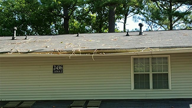 Regular Cleaning Is Less Expensive Than Gutter Replacement