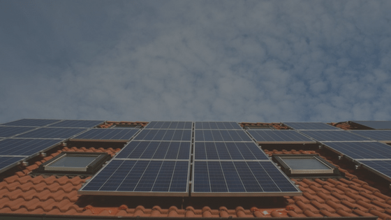 , 5 Ways to Make Your Home Environmentally Friendly, Outback GutterVac